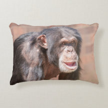 Licht und Stille - Schimpansenstärke