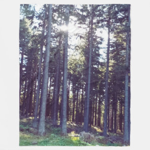 Licht zwischen den Kiefern - Wilde Natur Rumänien Fleecedecke
