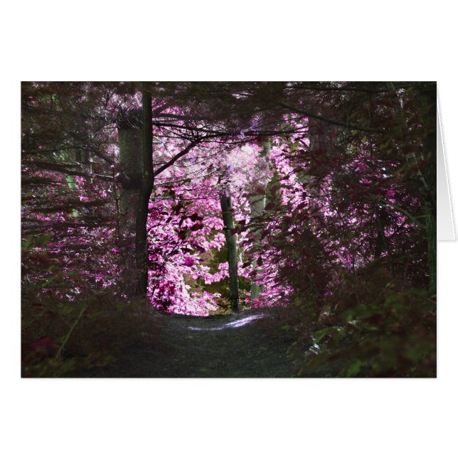 Lichtbild der Pfade-Nature-Karte (Vorderseite (Horizontal))