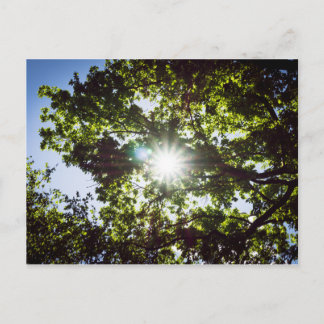 Lichtblick Postkarte