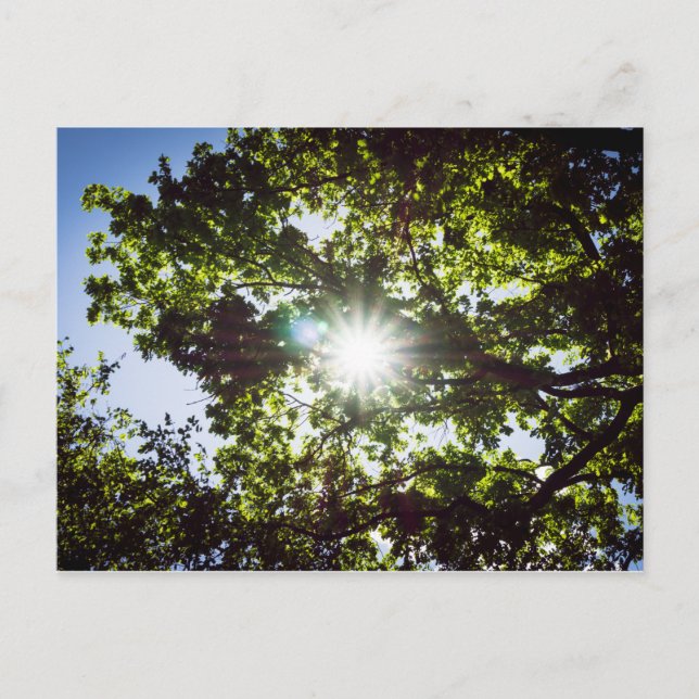 Lichtblick Postkarte (Vorderseite)