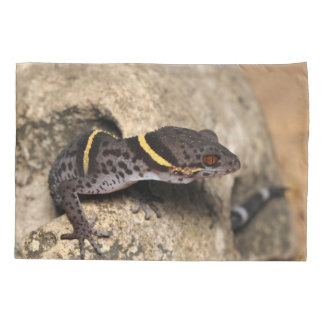Lichtenfelders Gecko Kissenbezug