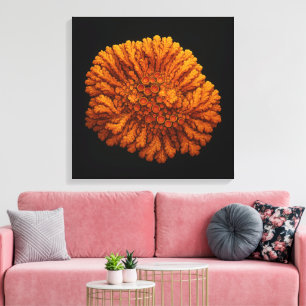 Lichtenkomposition - Leinwand Art Print