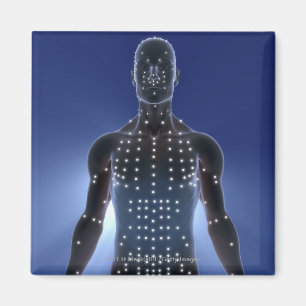 Lichtkarte der Akupunkturpunkte Magnet