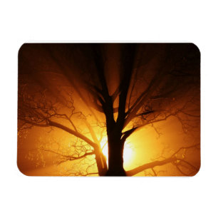 Lichtschacht Premium Magnet