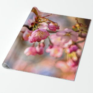 Lichtspiel und Schatten auf den Petalen der Sakura Geschenkpapier