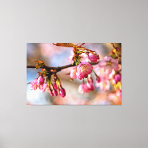 Lichtspiel und Schatten auf den Petalen der Sakura Leinwanddruck