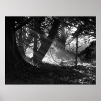 Lichtstrahl