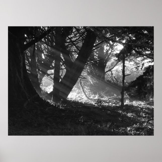 Lichtstrahl Poster (Vorne)