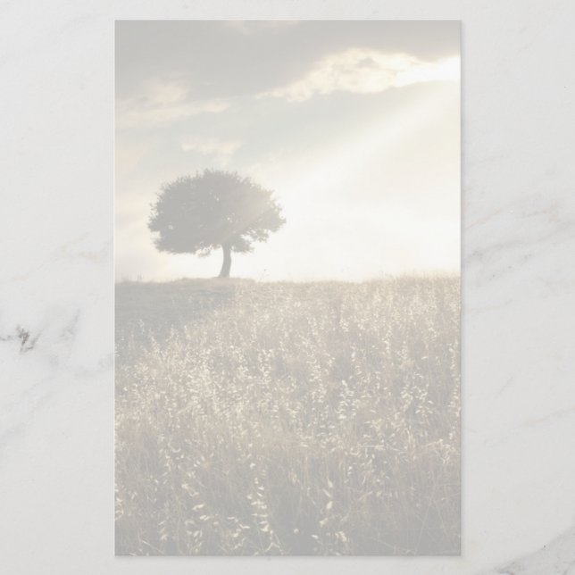 Lichtstrahlen durchbrechen den dramatischen Himmel Briefpapier (Vorderseite)