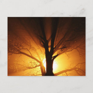 Lichtstrahlen Postkarte