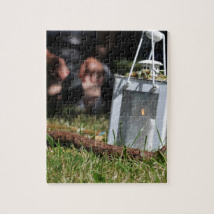 Lichtstrahlen Puzzle