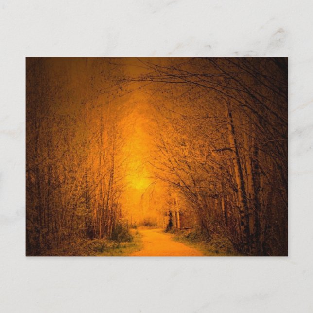 Lichtwahrer Postkarte (Vorderseite)