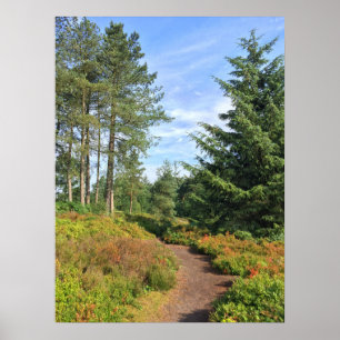 Lickey Hills Poster