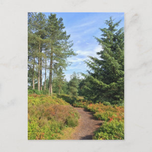 Lickey Hills Postkarte