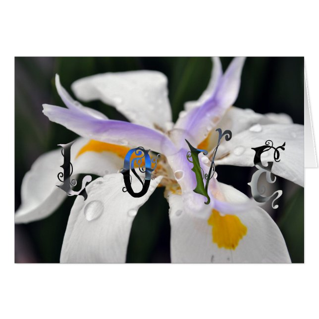 Liebe (Vorderseite (Horizontal))