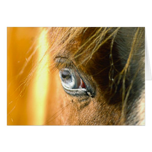 Liebe (Vorderseite (Horizontal))