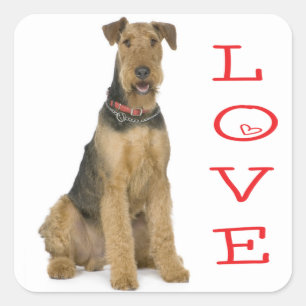 Liebe Airedale Terrier Welpen Hund Aufkleber