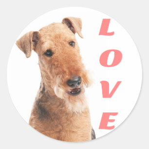 Liebe Airedale Terrier Welpen Hund Aufkleber