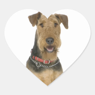 Liebe Airedale Terrier Welpen Hund Aufkleber