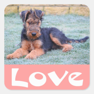Liebe Airedale Terrier Welpen Hund Rosa Aufkleber