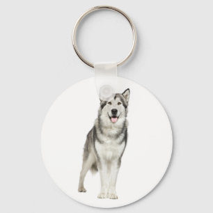 Liebe Alaskan Malamute Welpe Hund Schlüsselanhän Schlüsselanhänger