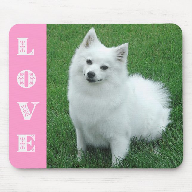 Liebe American Eskimo Puppy Dog Mousepad (Vorne)