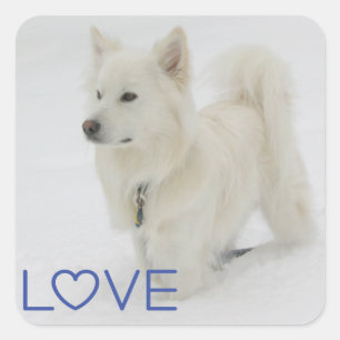Liebe American Eskimo Welpen Hund Aufkleber / Etik