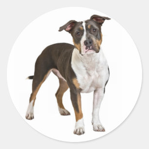 Liebe American Staffordshire Terrier Dog Sticker
