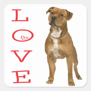 Liebe American Staffordshire Terrier Hund Aufklebe Quadratischer Aufkleber