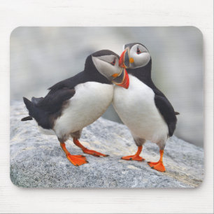 Liebe Atlantik Puffin Mousepad