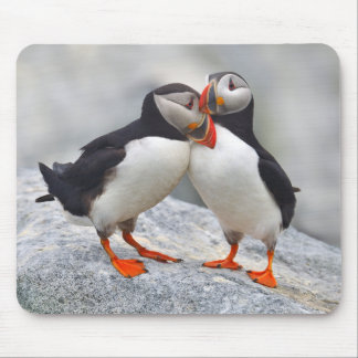 Liebe Atlantik Puffin Mousepad
