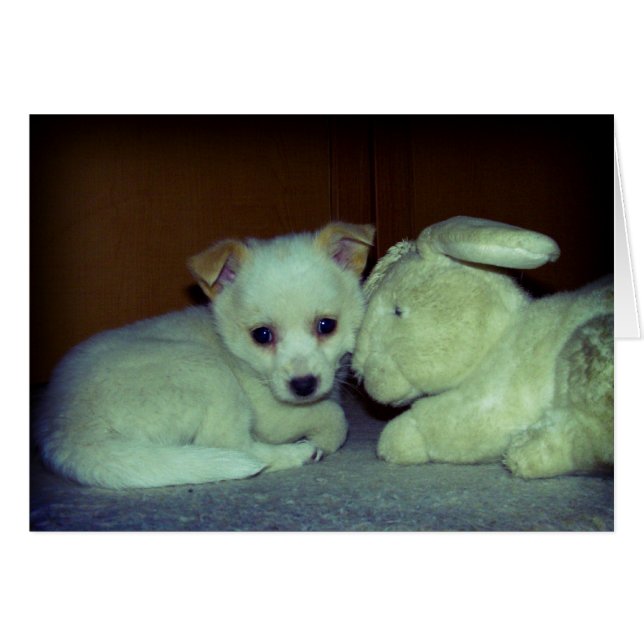 Liebe auf den ersten Blick (Vorderseite (Horizontal))