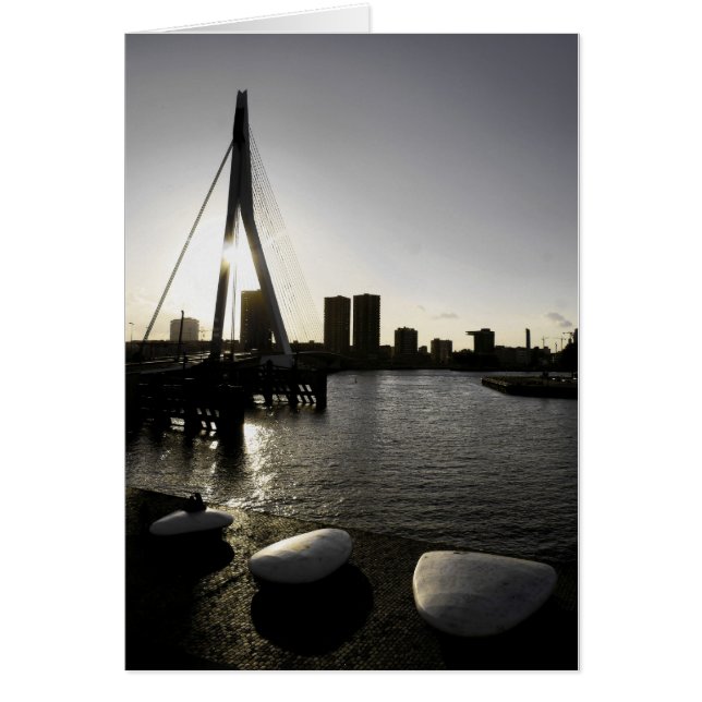 Liebe auf den Felsen (Vorne)