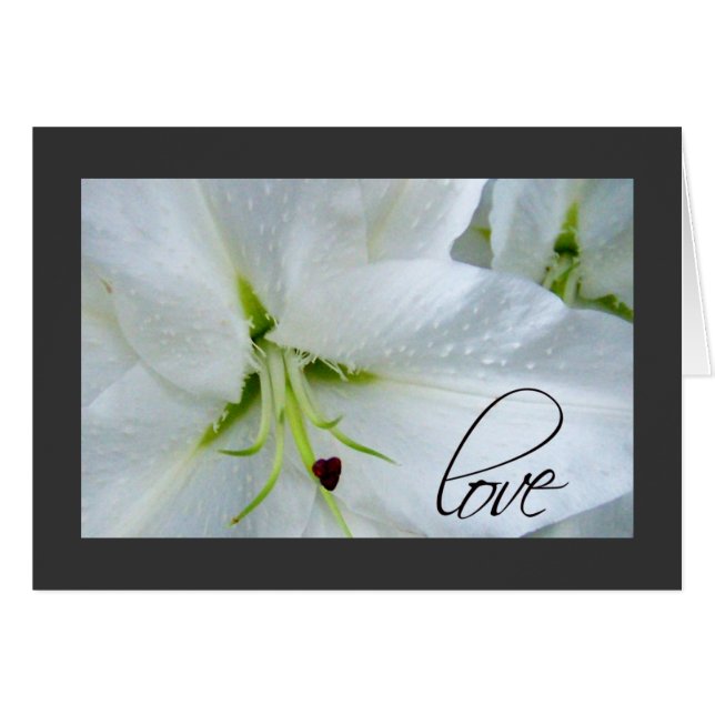 Liebe auf einer Calla-Lilie (Vorderseite (Horizontal))