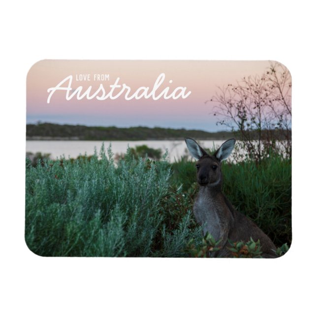 Liebe aus Australien Kangaroo Sunset Lake Magnet (Horizontal)