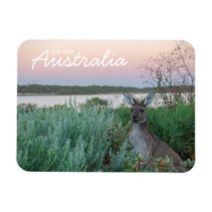 Liebe aus Australien Kangaroo Sunset Lake Magnet