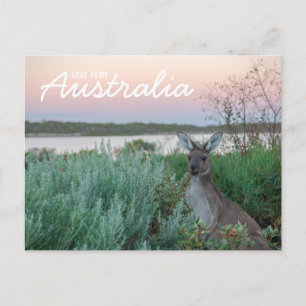 Liebe aus Australien Kangaroo Sunset Lake Postcard Postkarte