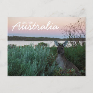 Liebe aus Australien Känguru Sonnenuntergang See P Postkarte