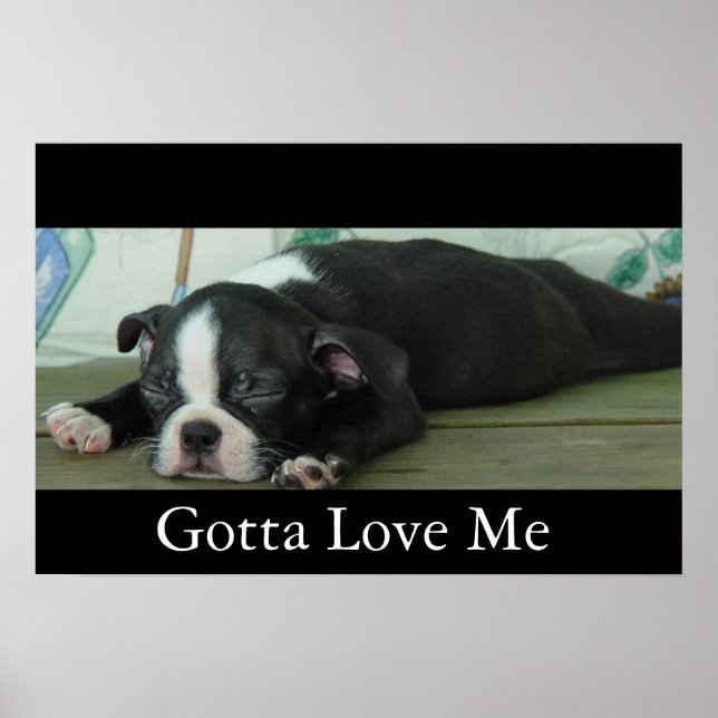 Liebe aus Boston Poster (Vorne)