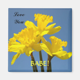 Liebe BABE! Magnet Gelbe Daffodien Frühling