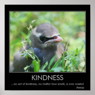 Liebe Baby-Vogel Inspirierendes Zitat Poster