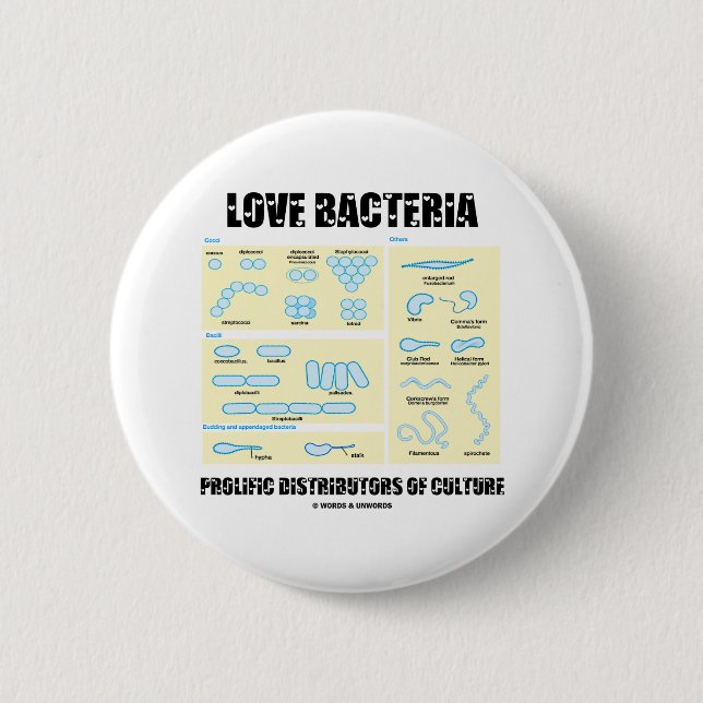Liebe-Bakterien-reiche Verteiler der Kultur Button (Vorderseite)