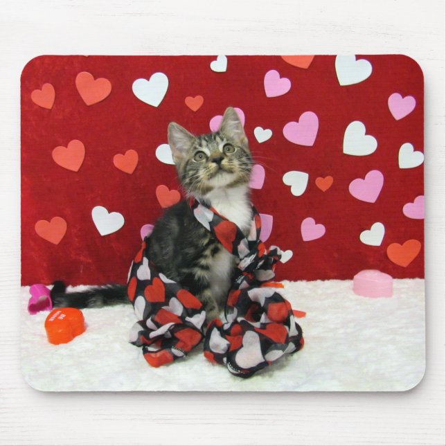 Liebe, Bandit the Tabby Kitten Mousepad (Vorne)