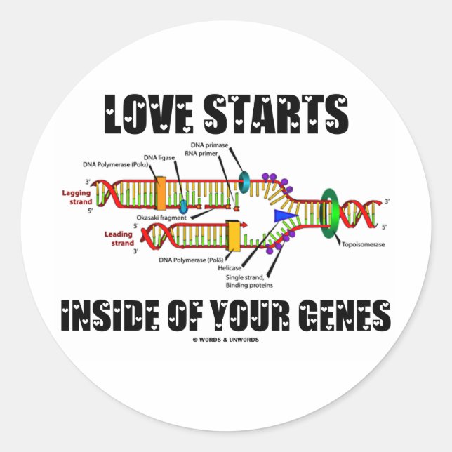 Liebe beginnt innerhalb Ihrer Gene (DNA-Replikatio Runder Aufkleber (Vorderseite)