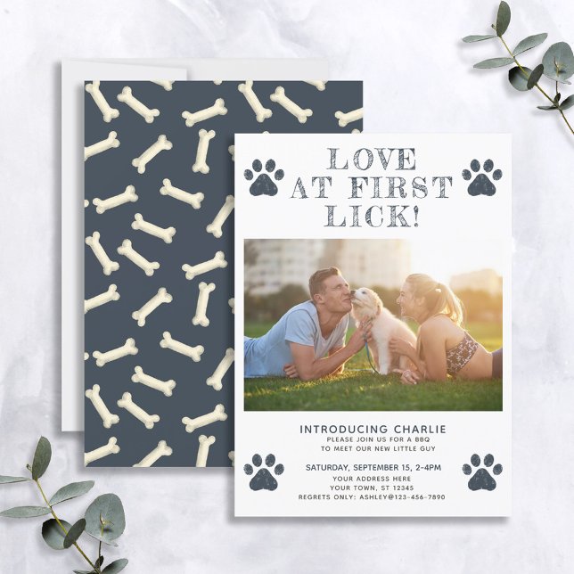 Liebe bei der ersten Ankündigung von Lick New Pupp (Von Creator hochgeladen)