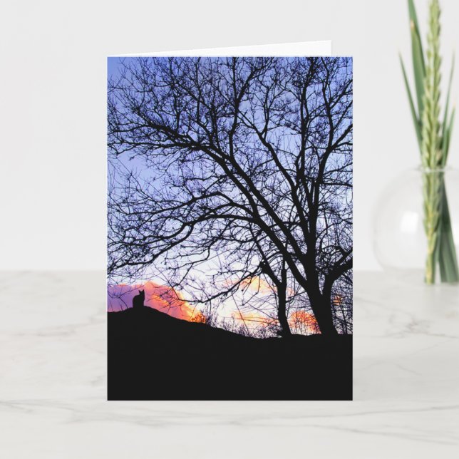 "Liebe bei Sonnenuntergang" Verlust einer Katzensy Karte (Vorderseite)