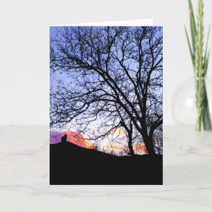 "Liebe bei Sonnenuntergang" Verlust einer Katzensy Karte