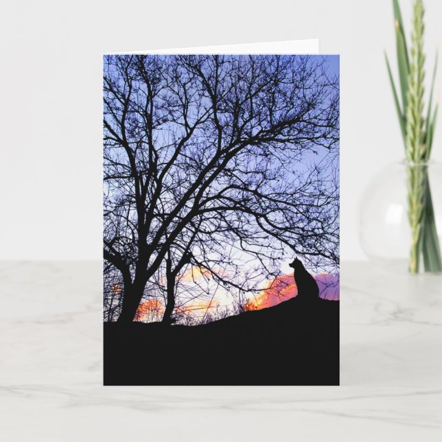 "Liebe bei Sonnenuntergang" Verlust einer Sympathi Karte (Vorderseite)