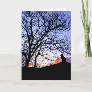 "Liebe bei Sonnenuntergang" Verlust einer Sympathi Karte